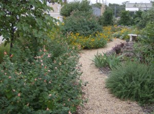 Looking Down the Path to our Garden