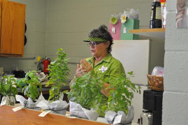 Paula With 6 Varieties of Basil for Class