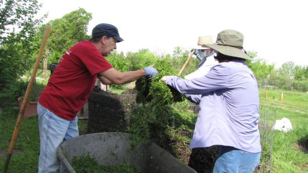 Master Gardeners Working with Compost
