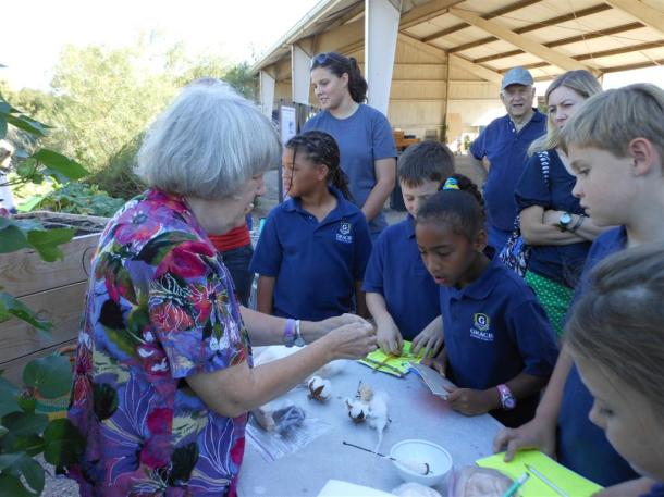 Grace Academy Students Learning About Cotton At The Demonstration Garden