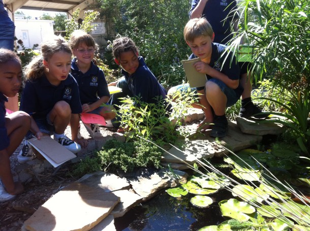 Field Trip Participants from Grace Academy Searching Our Pond For Gambusia Field Trip Participants from Grace Academy Searching Our Pond For Gambusia