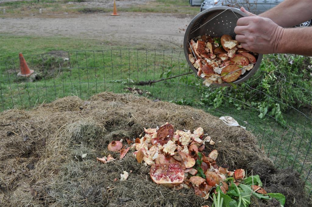 Pomegranate Hulls Will Be  Composted