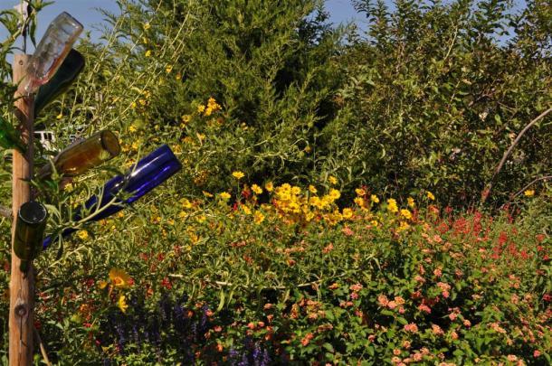 Bottle Tree Framing a view of Maximillian Sunflower, Desert Sage, Lantana, and Salvia Blue Spires