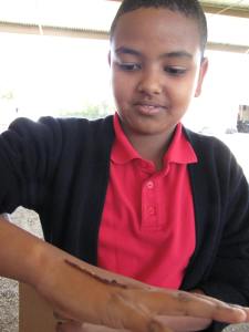 A Student's Introduction To Vermiculture