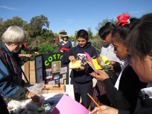 The Interesting Story Of Cotton As Told By Dallas County Master Gardener, Carolyn