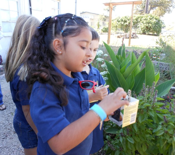 A Grace Academy Student Enjoying Learning and Nature At The Demonstration Garden
