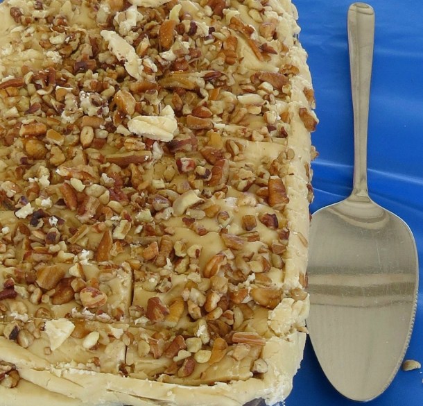 Mexican Chocolate Cake Served At April Master Gardener Meeting