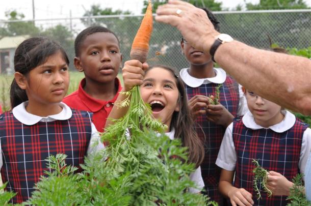 WDCS Third Graders Harvest A Carrot