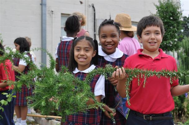 WDCS Children PIcking Rosemary