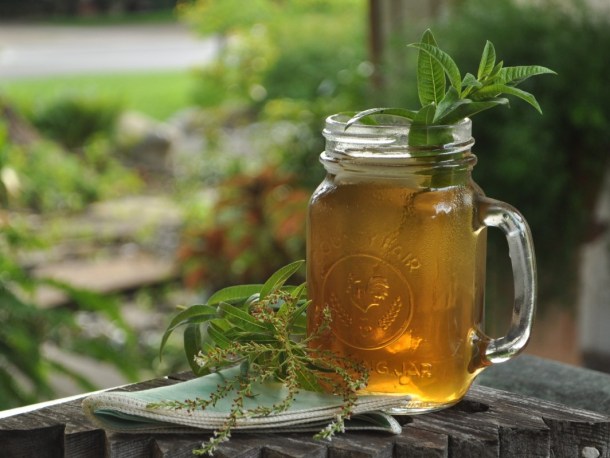 Lemon Verbena Tea, Dallas Garden Buzz