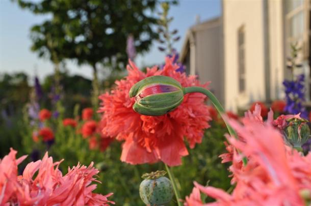 may 7 2013 068 (Large)