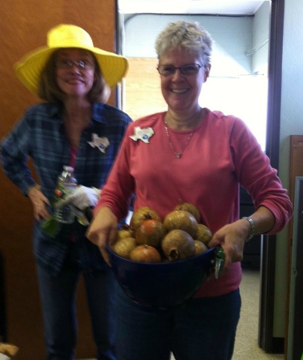 Two Master Gardeners holding a bucket of pomegranates