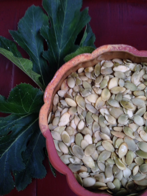 Roasted Pumkin Seeds in a Red Bowl