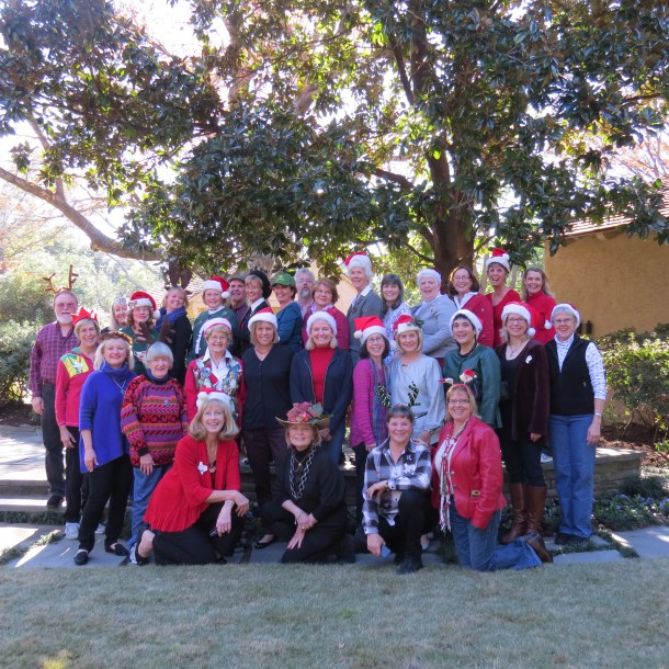 Christmas 2013 Garden