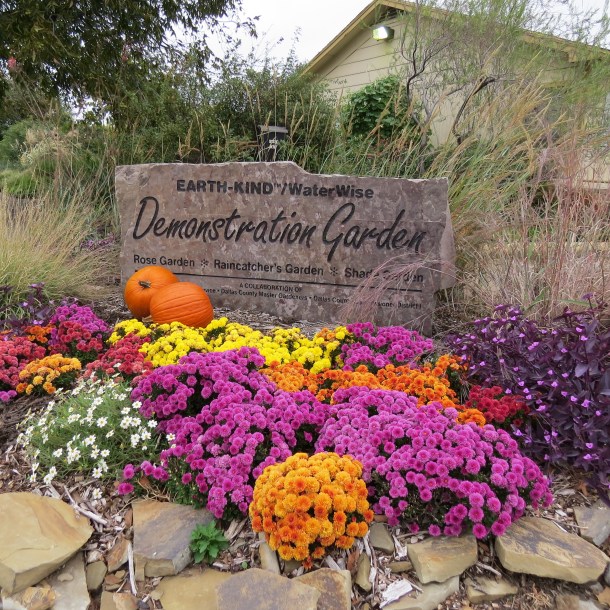 Demo Garden Fall 2013