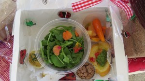 picnic-boxed lunch