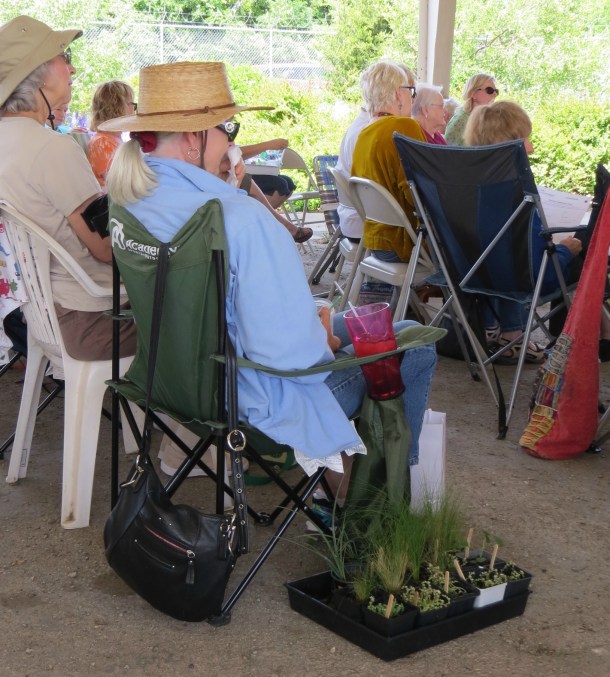 Dallas County Master Gardener with Plant Sale Specimens