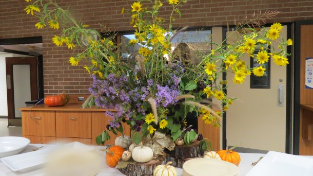 Above: Flowers from our Garden on Joe Field Road