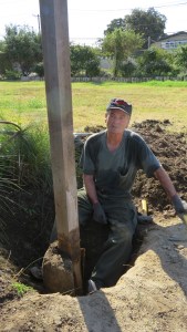 Hans and Arbor Removal