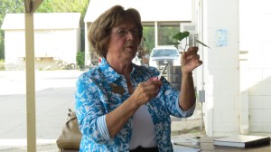 Plant Prop Guru-Roseann