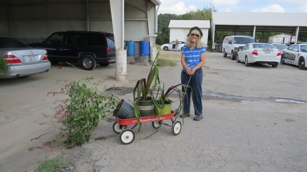 Plants Being Taken Home-Susan