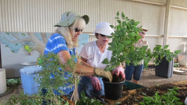 Diggers and Potters at Work