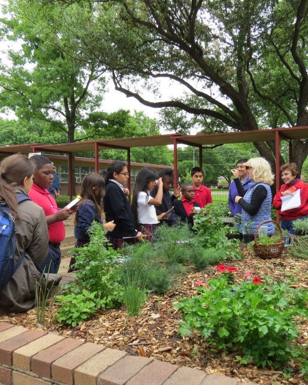 Linda teaching the science of herbs!