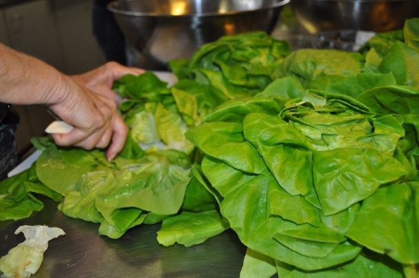 Lettuce Prep for Butterhead Lettuce Salad