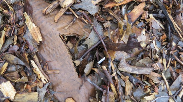 Mulch Close-Up