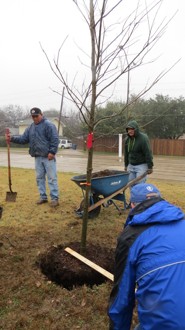 January Tree Planting