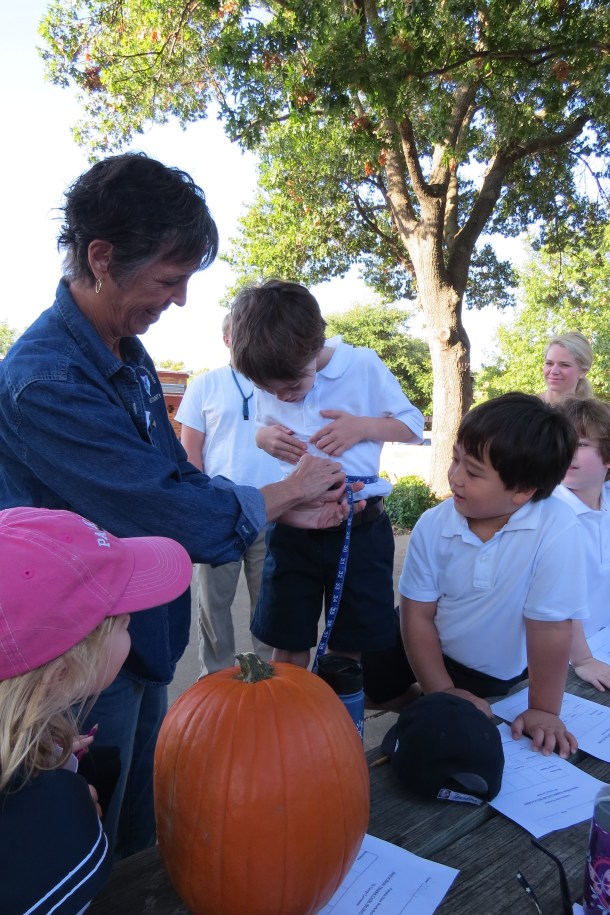 Pumpkin Math with Master Gardener Mrs Beadles