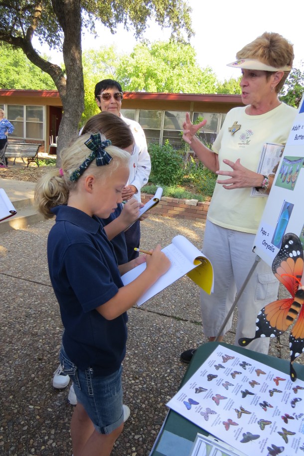 Grace 2015 Butterflies