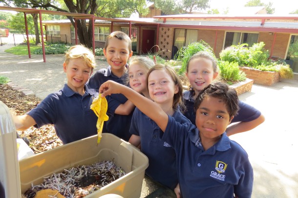 The Wonder of Worms and how they are known as "Nature's Plough".