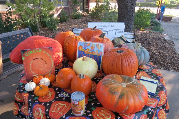 Pumpkin Class is in Session