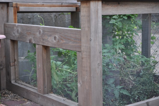 Compost Bin Of Redwood and Small Mesh Screening