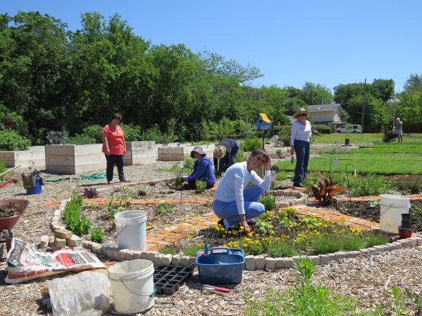 Maves, Elizabeth, Cynthia, Linda, Annette Planting the Color Wheel