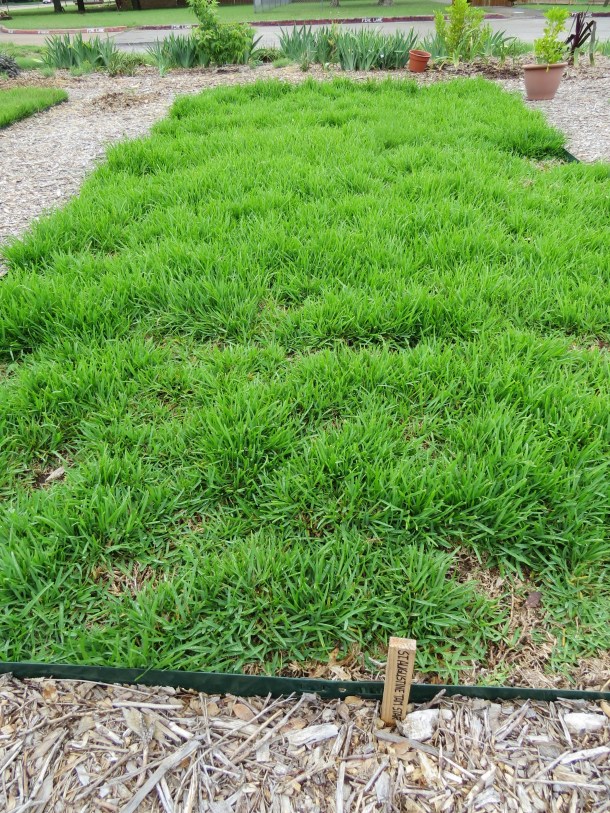 Above: Low Water St. Augustine