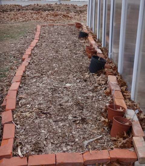 edible-garden-january